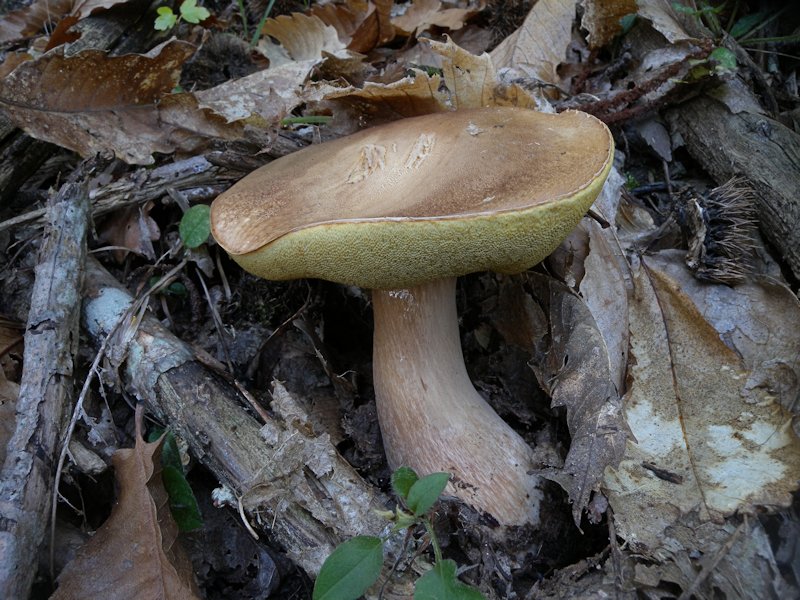 Forse l''ultima bellissima giornata..!!